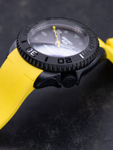 MODEL . 169R