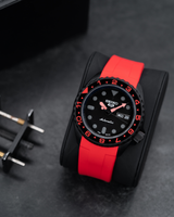 MODEL . 66R